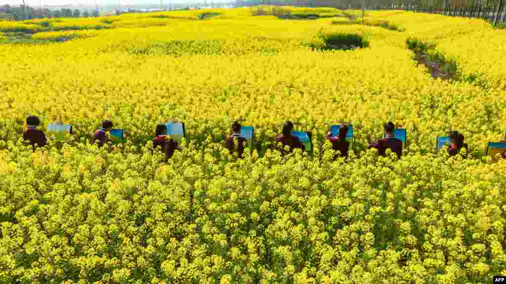 Students draw pictures of blossoming rapeseed flowers in Haian, Nantong city, in China's eastern Jiangsu province.
