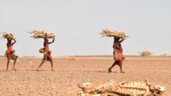 Amakuru y'Akarere