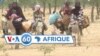 VOA60 Afrique : RDC, Tchad, Soudan, Libye