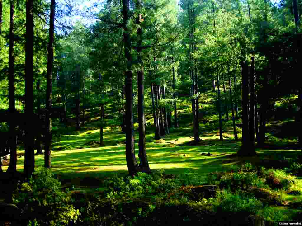 کشمیر کا ضلع سدھنوتی، خوبصورت وادیوں کے مناظر