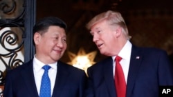 美国总统川普(右)与中国国家主席习近平在佛罗里达海湖庄园