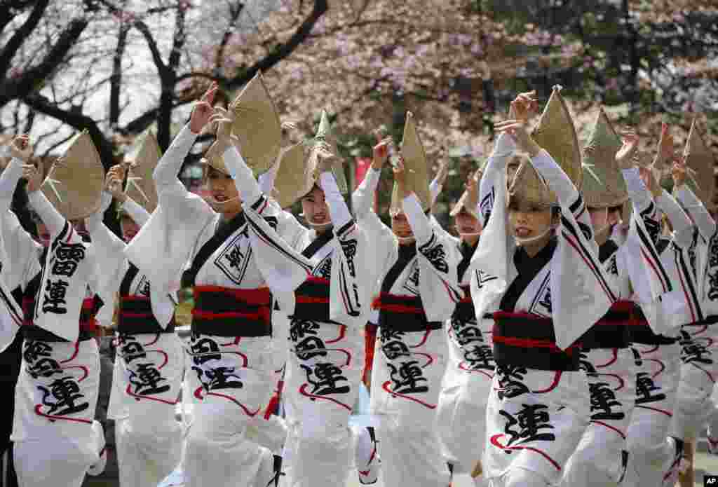 2017年4月2日，在东京的墨田公园樱花节期间，穿着传统服饰的女性表演日本传统舞蹈。