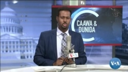 Caawa iyo Dunida