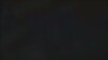 LiveTalk