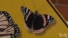 16x9 Image