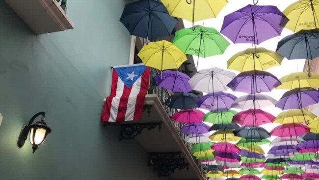 Exibición en Puerto Rico invita a apreciar el arte de la isla
