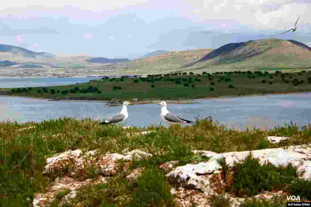 Çarpanak Island or Ktuts Island