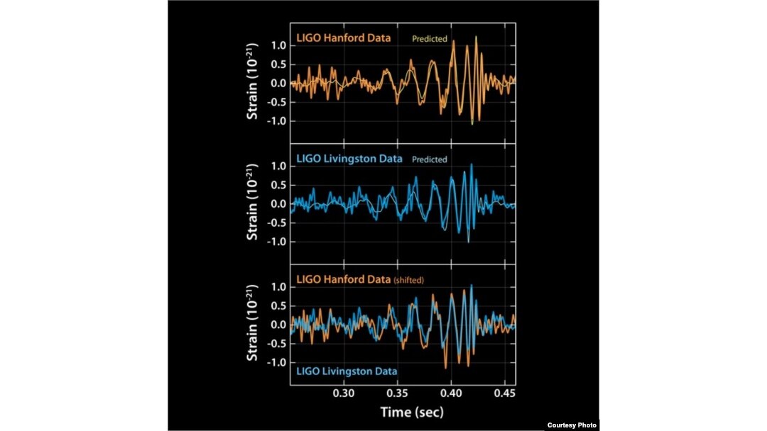 These plots show the signals of gravitational waves detected by the twin LIGO observatories at Livingston, Louisiana, and Hanford, Washington. The signals came from two merging black holes, each about 30 times the mass of our sun.