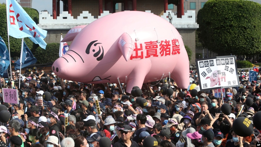 台北民眾遊行抗議政府允許美國豬肉進口台灣的決定。 （2020年11月22日）