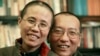 德国关注中国继续限制刘晓波遗孀基本自由