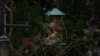 16x9 Image