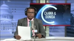 Caawa iyo Dunida