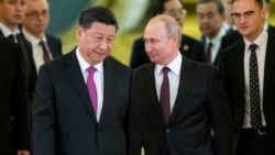 VOA连线(方冰): 美国前情报官：习近平不会对真相一无所知