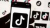 威斯康星和北卡罗莱纳两州禁止在州政府设备上使用TikTok