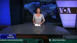 Ditari - Rreziqet kibernetike në Ballkanin Perëndimor 
