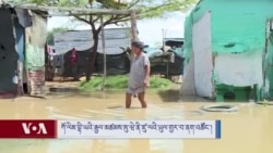 ཀོ་ལིམ་བྷི་ཡའི་རྒྱལ་མཚམས་སུ་ཝེ་ནི་ཛུ་ལའི་ཡུལ་གྱར་བ་ནག་འཚོང་།