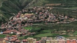 དགོང་དྲོའི་རླུང་འཕྲིན། ༢༠༢༢་ཟླ་༡་ཚེས་༡༡།