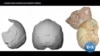 16x9 Image