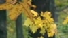 16x9 Image